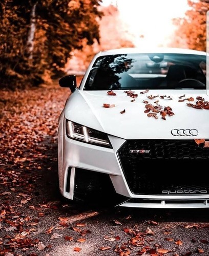 Griglia adatto per audi - griglia,